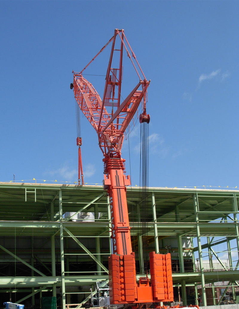 ENGINEERING DESIGN SERVICES AND PROJECT MANAGEMENT FOR NEW PAPER PLANT (2009)